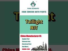 ইভানজোনেকো ব্র্যান্ড - সম্পূর্ণ রঙের পিছনের আলো