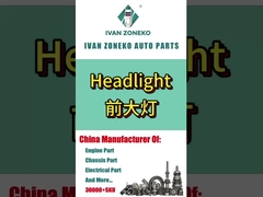 ইভানজোনেকো ব্র্যান্ড - হেডলাইটের সম্পূর্ণ পরিসীমা