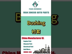 ইভান জোনেকো- বুশিং