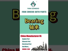 ইভান জোনেকো- লেয়ারিং