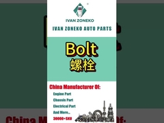 ইভান জোনেকো- বোল্ট