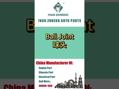 ইভান জোনেকো-বল জয়েন্ট